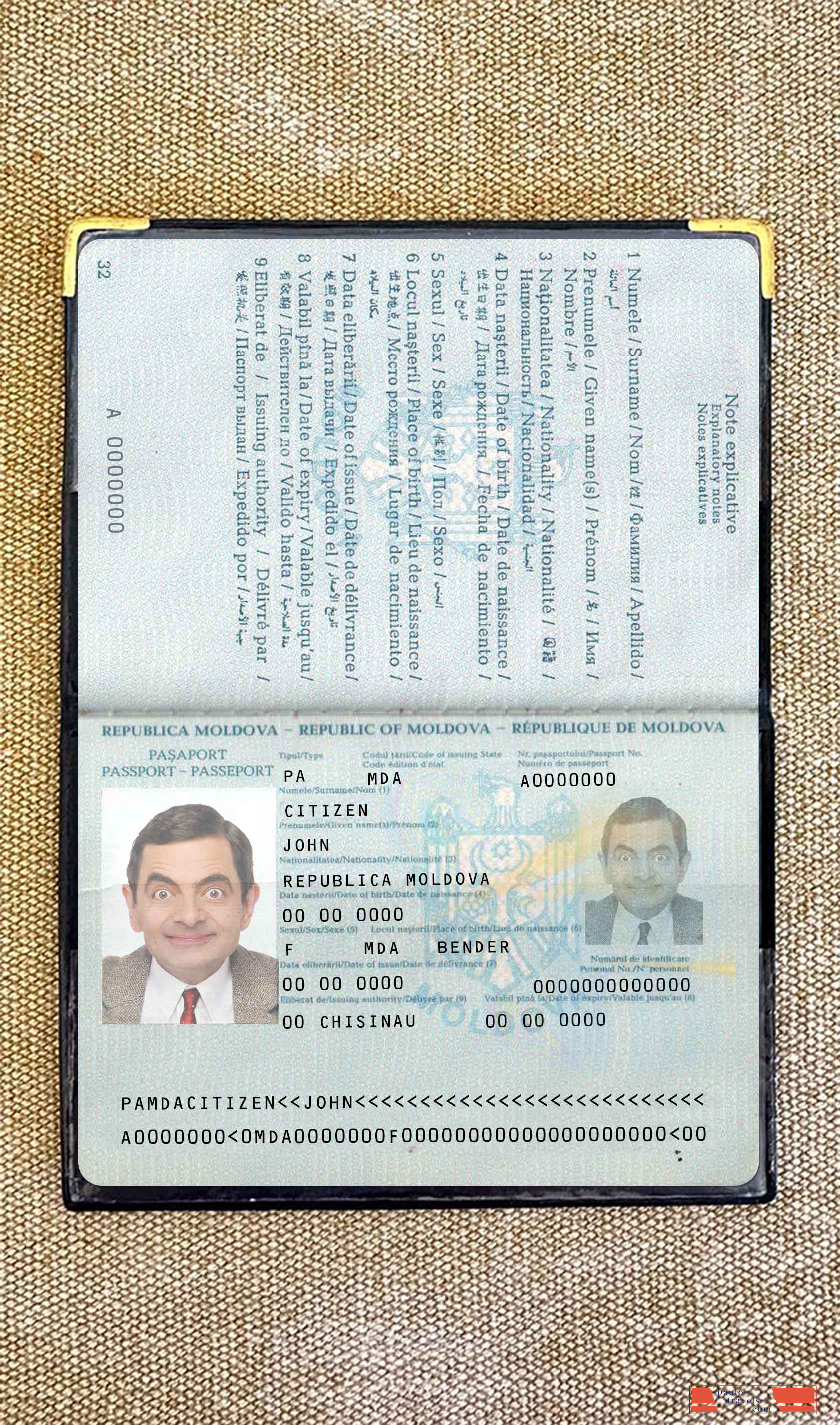 Moldova pass photo look PSD template